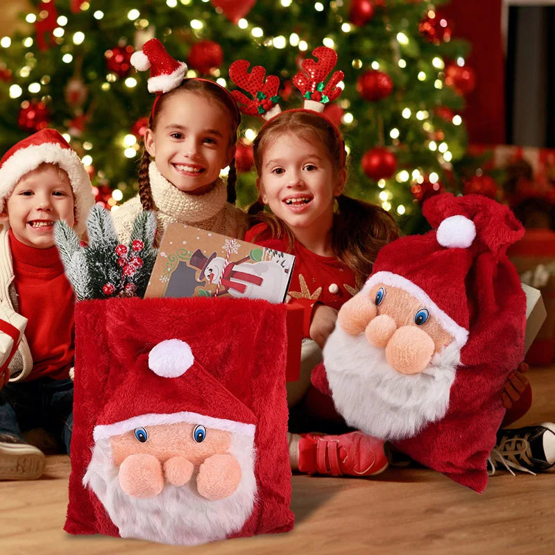 Velvet Santa Treat Bag